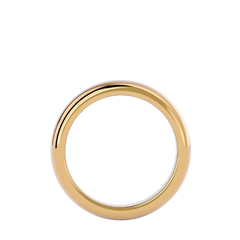 Ian Mens Ring