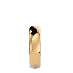 Ian Mens Ring